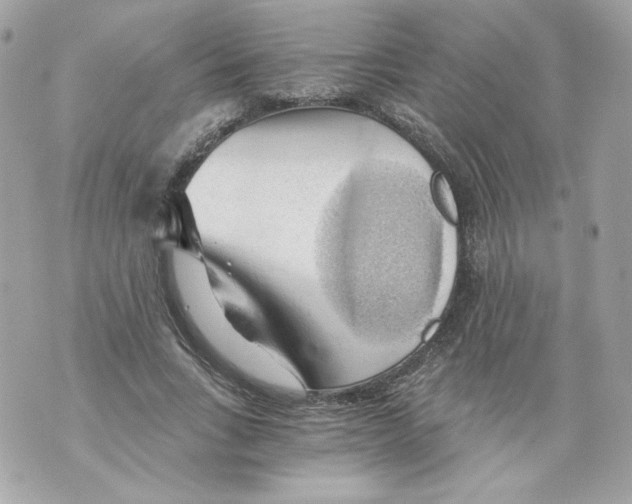 X0000069810735200606161849