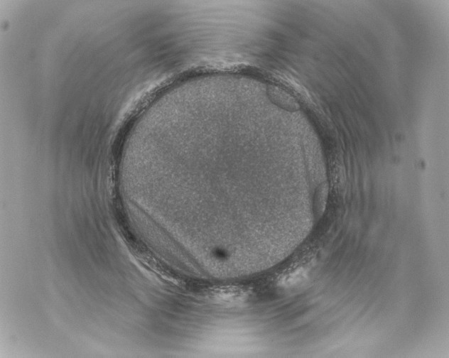 X0000069810736200606161849