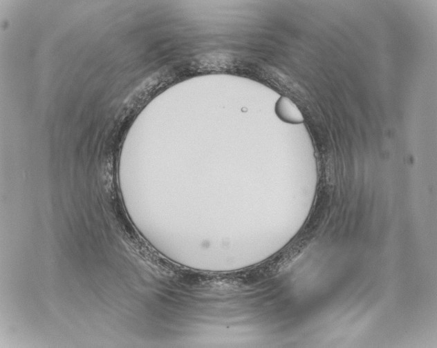 X0000069810737200606161849