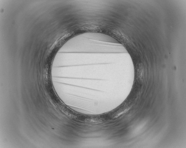 X0000069810739200606161849