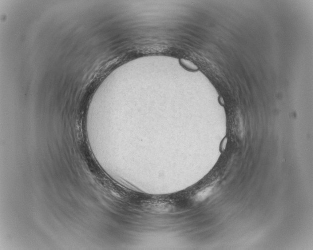 X0000069810743200606161849