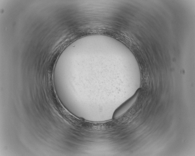 X0000069810744200606161849