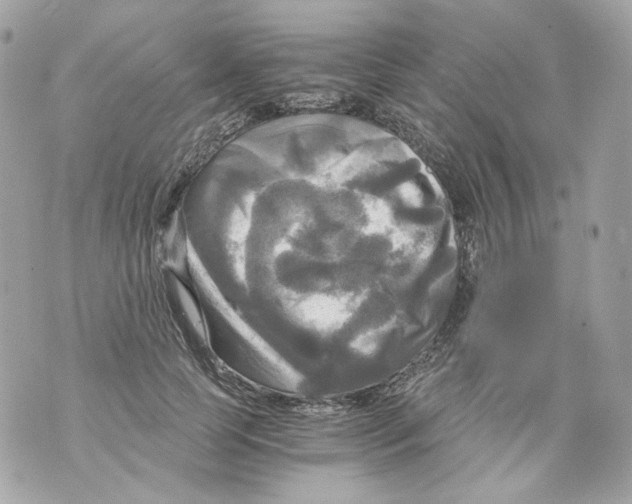 X0000069810745200606161849