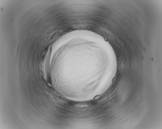 X0000069810749200606161849