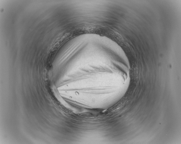 X0000069810750200606161849