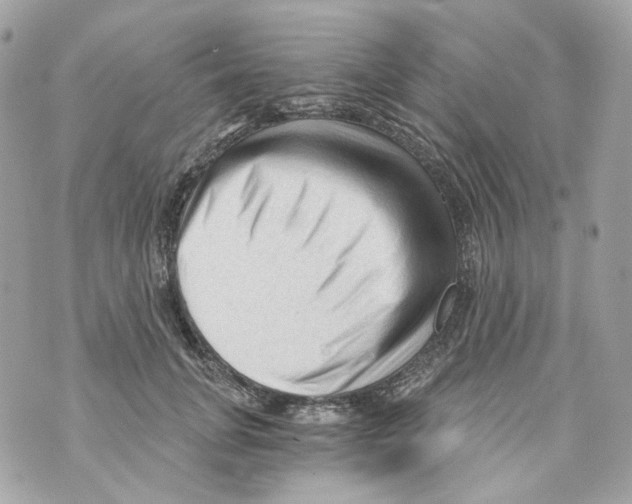 X0000069810751200606161849