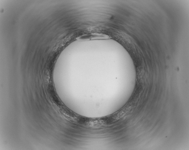 X0000069810752200606161849