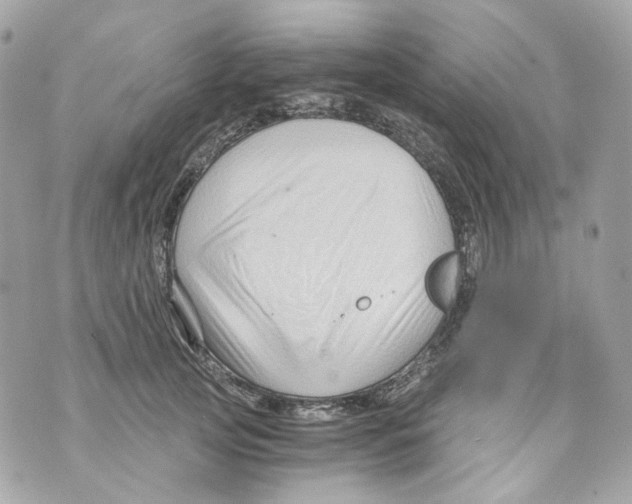 X0000069810753200606161849