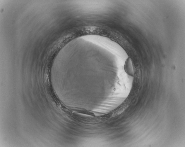 X0000069810754200606161849