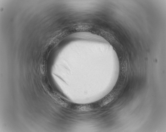 X0000069810755200606161849