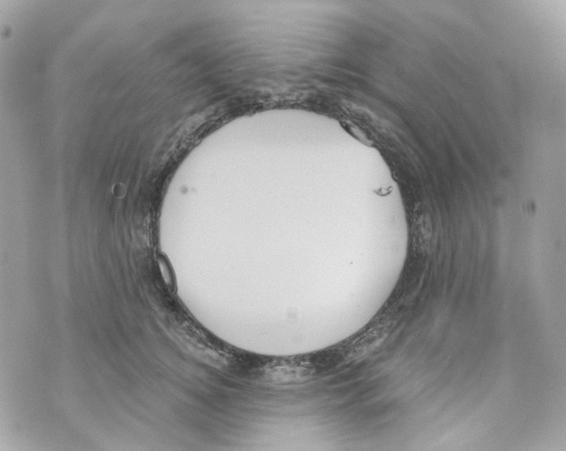 X0000069810756200606161849