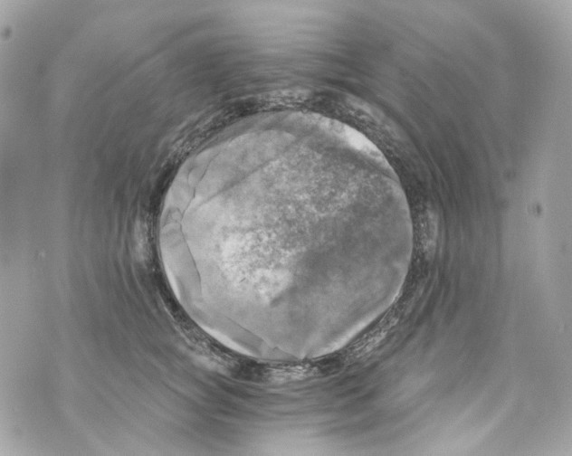 X0000069810757200606161849