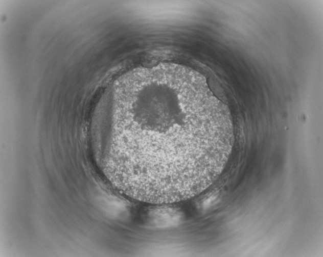 X0000069810759200606161849