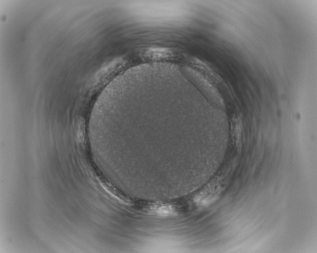 X0000069810760200606161849