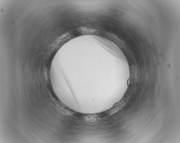 X0000069810761200606161849