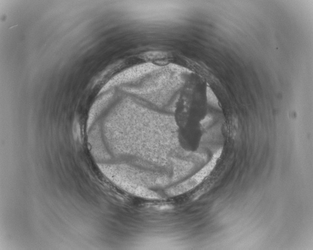 X0000069810763200606161849