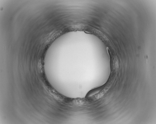 X0000069810764200606161849