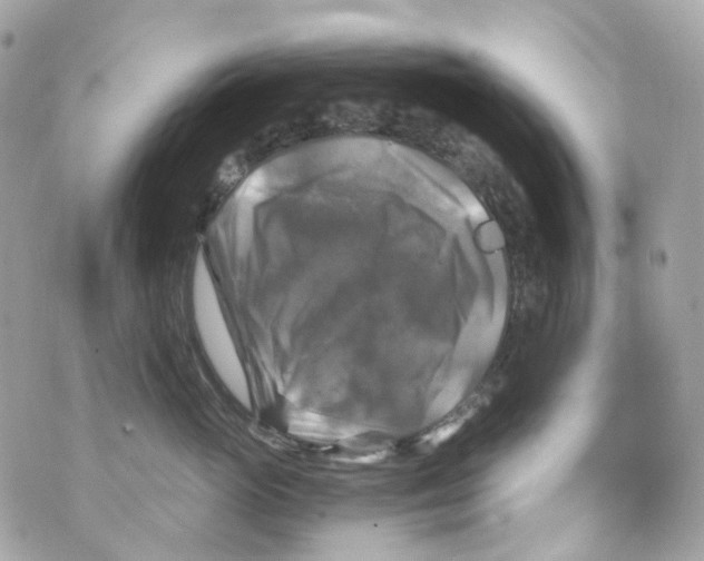 X0000069810765200606161849