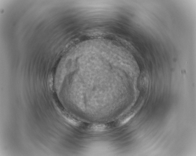 X0000069810767200606161849