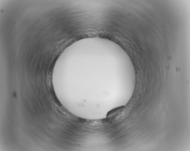 X0000069810768200606161849