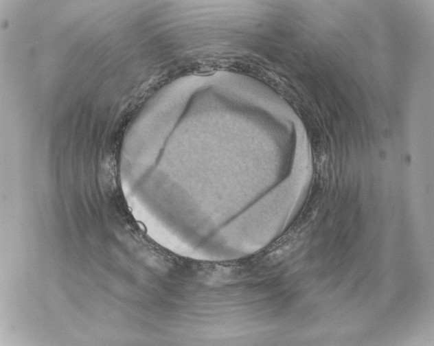 X0000069810772200606161848