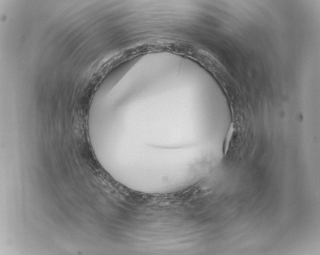 X0000069810773200606161848