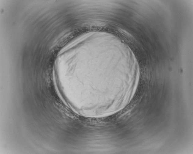 X0000069810774200606161848