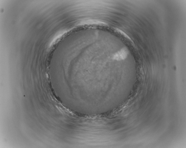 X0000069810775200606161848