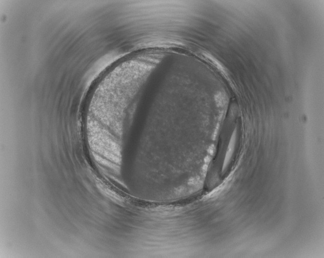 X0000069810779200606161848