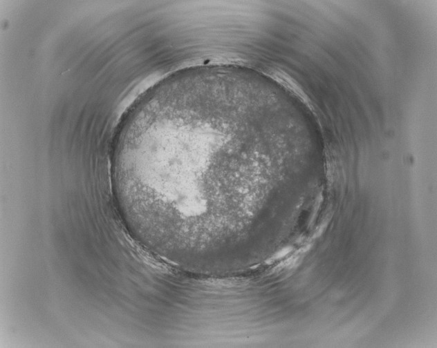 X0000069810781200606161848