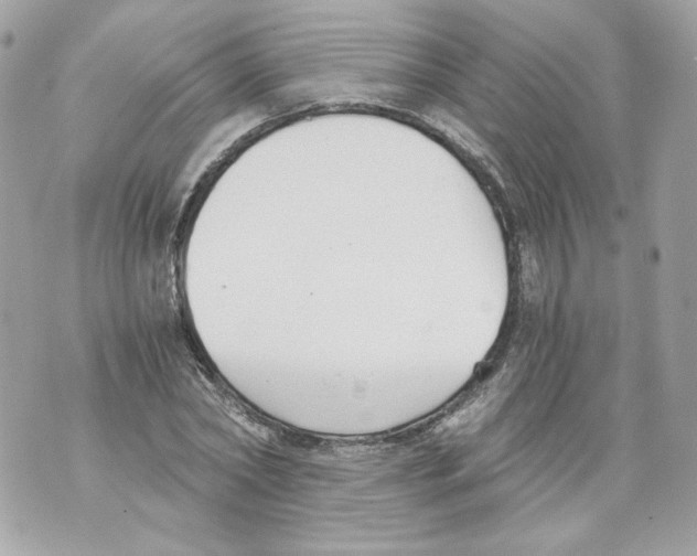 X0000069810782200606161848