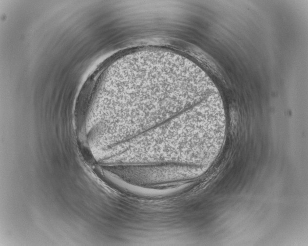 X0000069810784200606161848