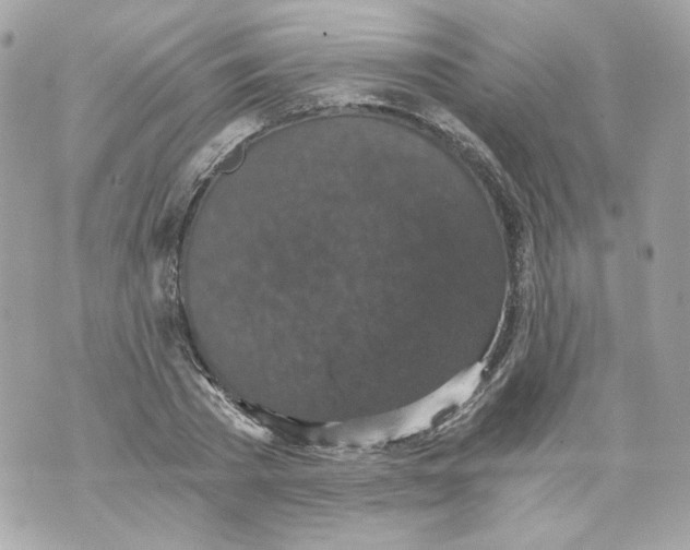 X0000069810785200606161848