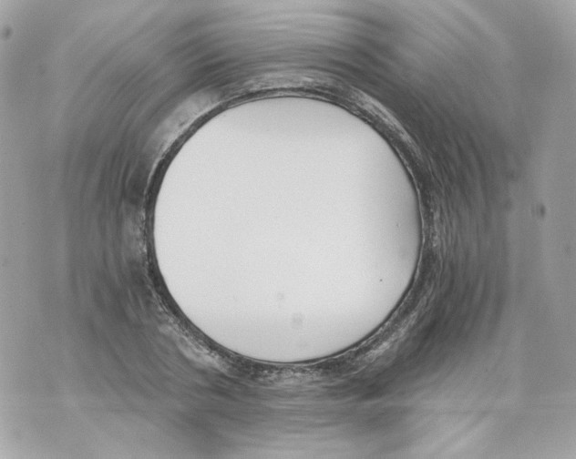 X0000069810786200606161848