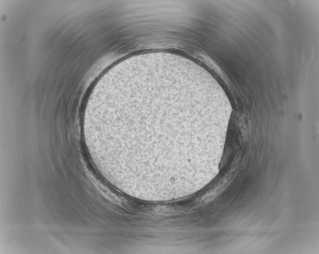 X0000069810787200606161848