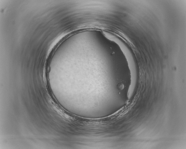 X0000069810788200606161848