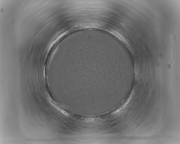 X0000069810790200606161848