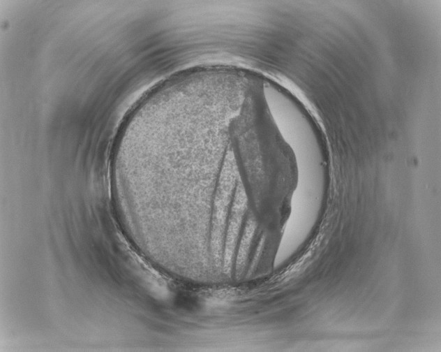 X0000069810791200606161848