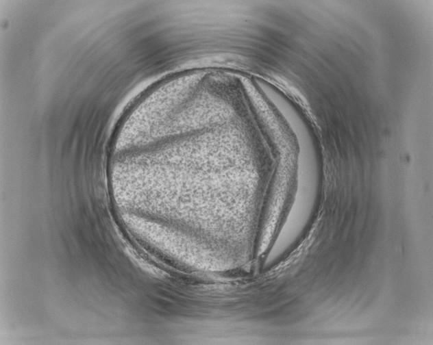 X0000069810792200606161848