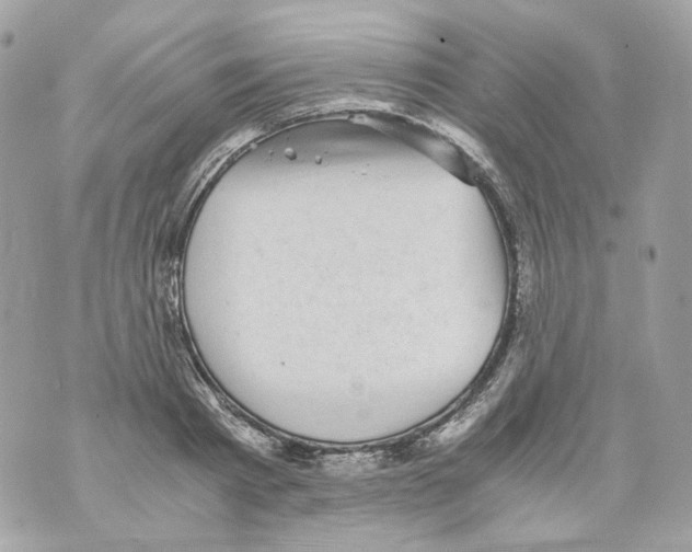 X0000069810793200606161848