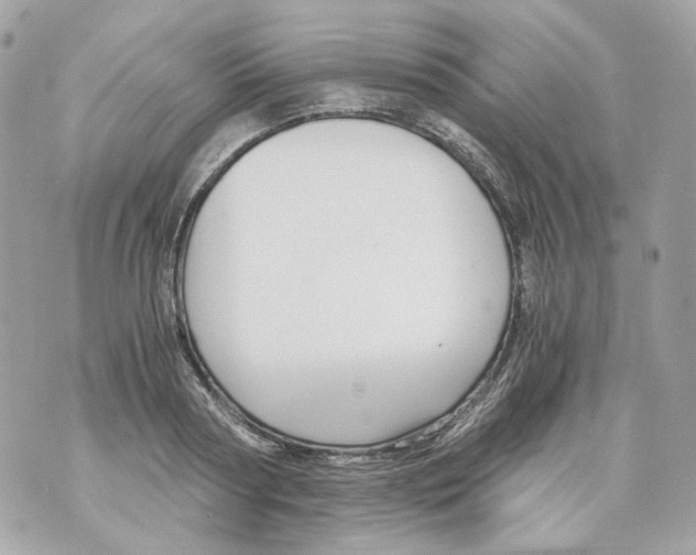 X0000069810794200606161848