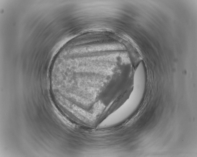 X0000069810795200606161848