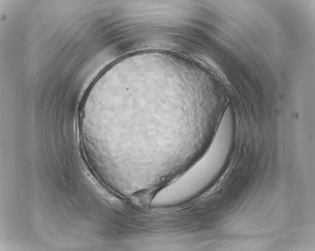 X0000069810796200606161848