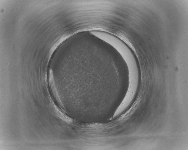 X0000069810797200606161848