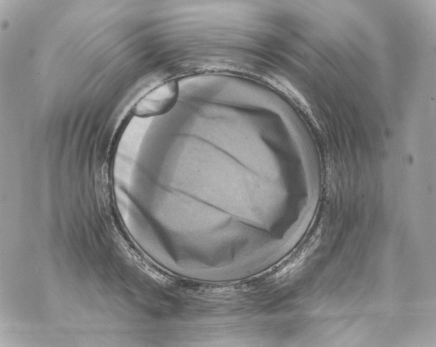 X0000069810798200606161848