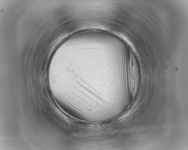 X0000069810799200606161848