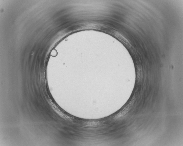 X0000069810800200606161848