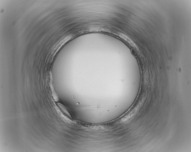 X0000069810801200606161848