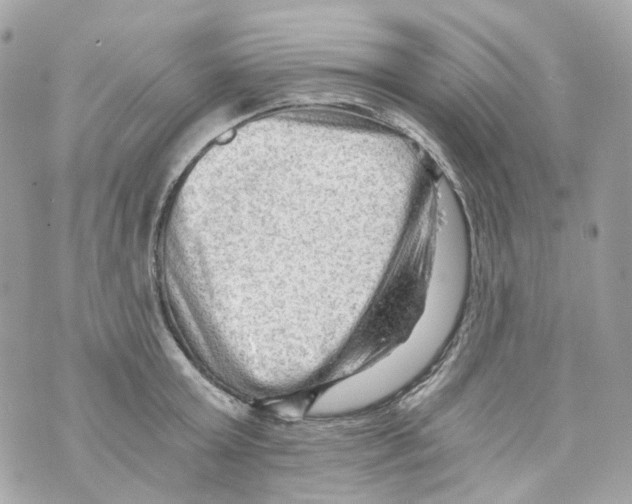 X0000069810803200606161848