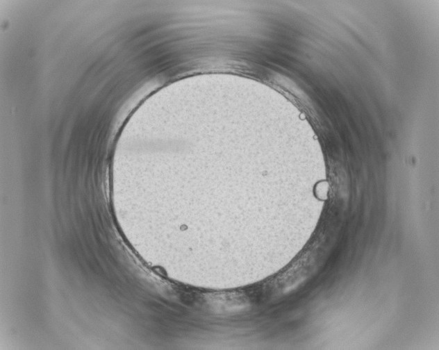 X0000069810804200606161848